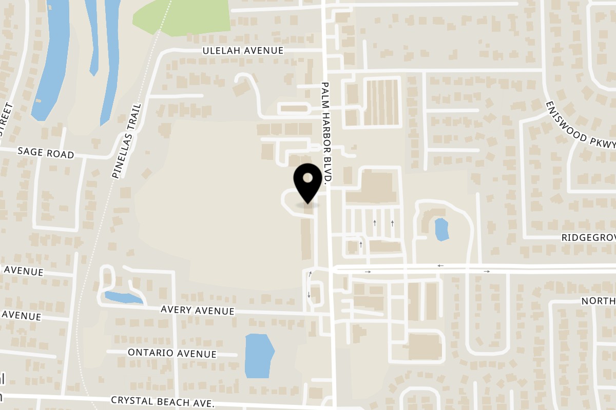 Map showing the location of Fairway Pizza & Sports on 2901 U.S. 19 Alternate in Palm Harbor